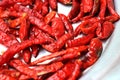 Red chilli with its bright color at home Royalty Free Stock Photo