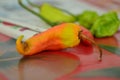 Red chilli macro photography Royalty Free Stock Photo