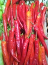 The Red chilli in a market Royalty Free Stock Photo