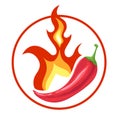 Red chilli pepeer and fire. Flamed hot spiced pepper pod. Red burning pepper icon in cartoon style.