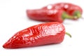 Red chilli pepper