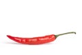 Red chilli pepper