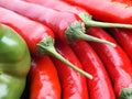 Red Chilli pepper Royalty Free Stock Photo