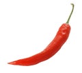 Red chilli pepper Royalty Free Stock Photo