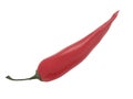 Red chilli pepper