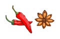 Red chilli pepper with anise star food seasoning hand drawn style vegetable ingredient paprika spicy and fresh Royalty Free Stock Photo