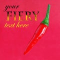 Red Chilli Pepper on a red background with space for your text