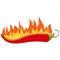 Red chilli pepper in burned fire flame vector icon isolated on white background.