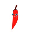 A red chilli pepper Royalty Free Stock Photo
