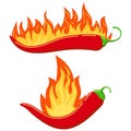 Red chilli pepper in fire flame icon set isolated on white background. Royalty Free Stock Photo