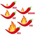 Red chilli pepper in fire flame icon vector set isolated on white background. Royalty Free Stock Photo