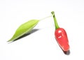Red chilli pepper with green leaf Royalty Free Stock Photo