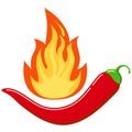 Red chilli pepper in hot burned fire flame icon isolated on white background Royalty Free Stock Photo