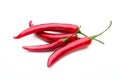 Red chilli pepper isolated on a white background. Royalty Free Stock Photo
