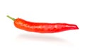 Red chilli pepper