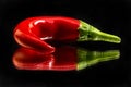 Red hot chilli pepper Royalty Free Stock Photo