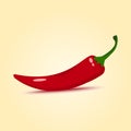 Red chilli pepper. Vector illustration Royalty Free Stock Photo
