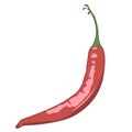 Red chilli pepper vector illustration Royalty Free Stock Photo