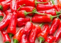 Red chilli pepper 'capsicum annuum'