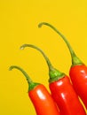 Red chilli peppers Royalty Free Stock Photo