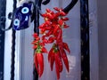 Red chilli peppers drying by window with blue charm shoes