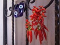 Red chilli peppers drying by window with blue charm shoes