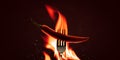 Red Chilli Peppers With A Fork On A Fire Element And Hot Background. Spicy Food And Burning Concept. Explosion Of Paprika Chili