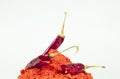 Red chilli with red chilli powder ,dried red chilli.