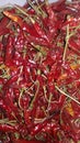 Red chilli it is used in indian food itams Royalty Free Stock Photo