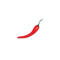 Red chilli vector illustration picture