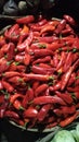 Red chilli Vegetable in different colours redih in India darbhanga bihar Royalty Free Stock Photo