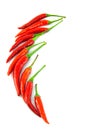 Red chilli on white background