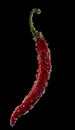 Red chillie pepper with water bubbles Royalty Free Stock Photo
