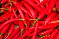 Red Chillies Royalty Free Stock Photo