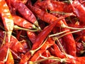 Red Chillies Royalty Free Stock Photo
