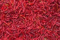 Red Chillies Royalty Free Stock Photo