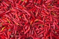 Red Chillies Royalty Free Stock Photo