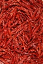 Red chillies Royalty Free Stock Photo