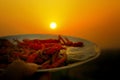 Red chillies dried in India with sunset