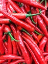 Red Chillies Royalty Free Stock Photo