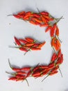 Red chillies on a white background. Can be used for badges. Royalty Free Stock Photo