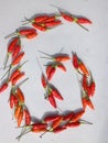 Red chillies on a white background. Very beautiful. Royalty Free Stock Photo