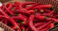 Red chillis in a box