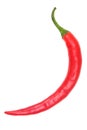 Red chilly Royalty Free Stock Photo
