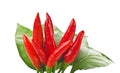 Red chilly pepper Royalty Free Stock Photo