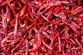 Red chilly pepper pile
