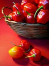 Red chilly peppers on basket Royalty Free Stock Photo