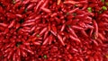 Red chilly peppers in bunches