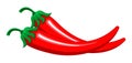 Red chilly peppers vector isolated on the white background. Hot chillies for food logo, banner, flyer Royalty Free Stock Photo