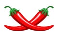 Red chilly peppers vector isolated on the white background. Hot chillies for food logo, banner Royalty Free Stock Photo